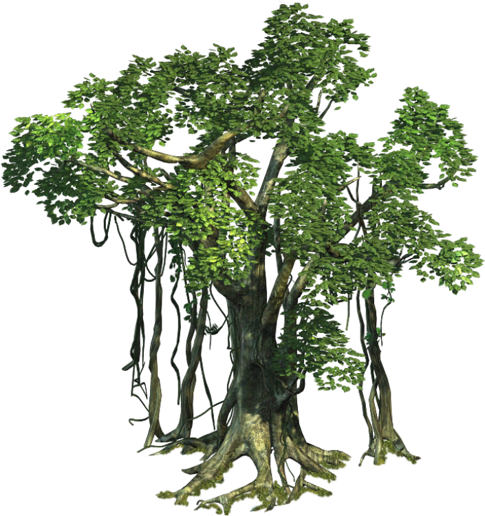 Realistic Tree Free Png Image - Tree Sprite (700x600), Png Download