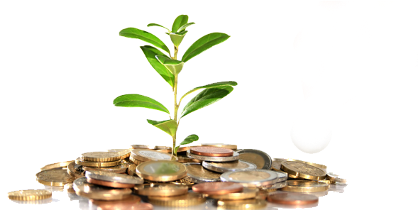 Money Tree Png - Low To Mid-middle Class Moving Up (960x295), Png Download