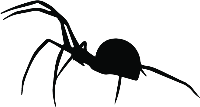Spider (745x745), Png Download