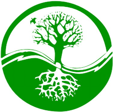 Money Tree - Yin Yang (400x400), Png Download