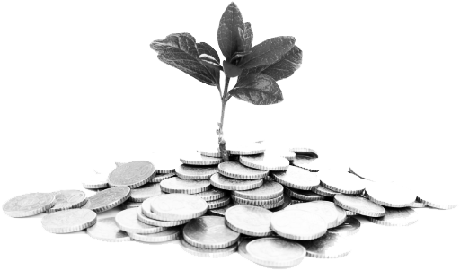 Jamaica's Economy (534x383), Png Download