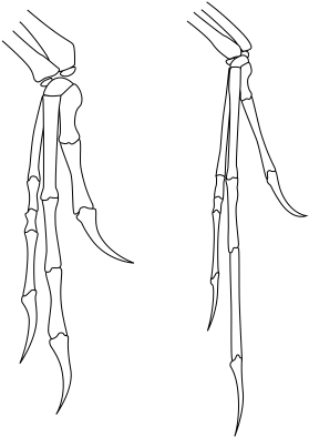 Hands - Sketch (500x500), Png Download