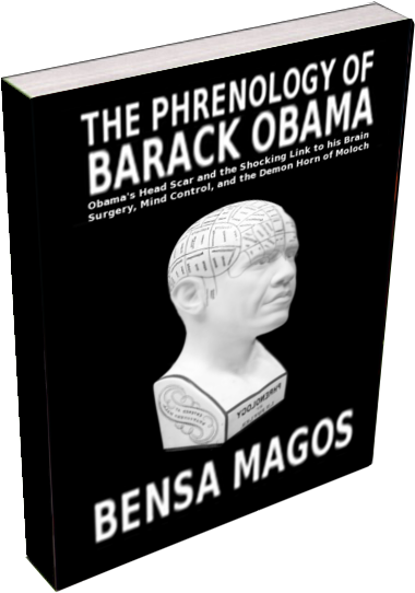 What Begins As A Secular Study Of Obama's Craniometrics - Barack Obama (435x575), Png Download