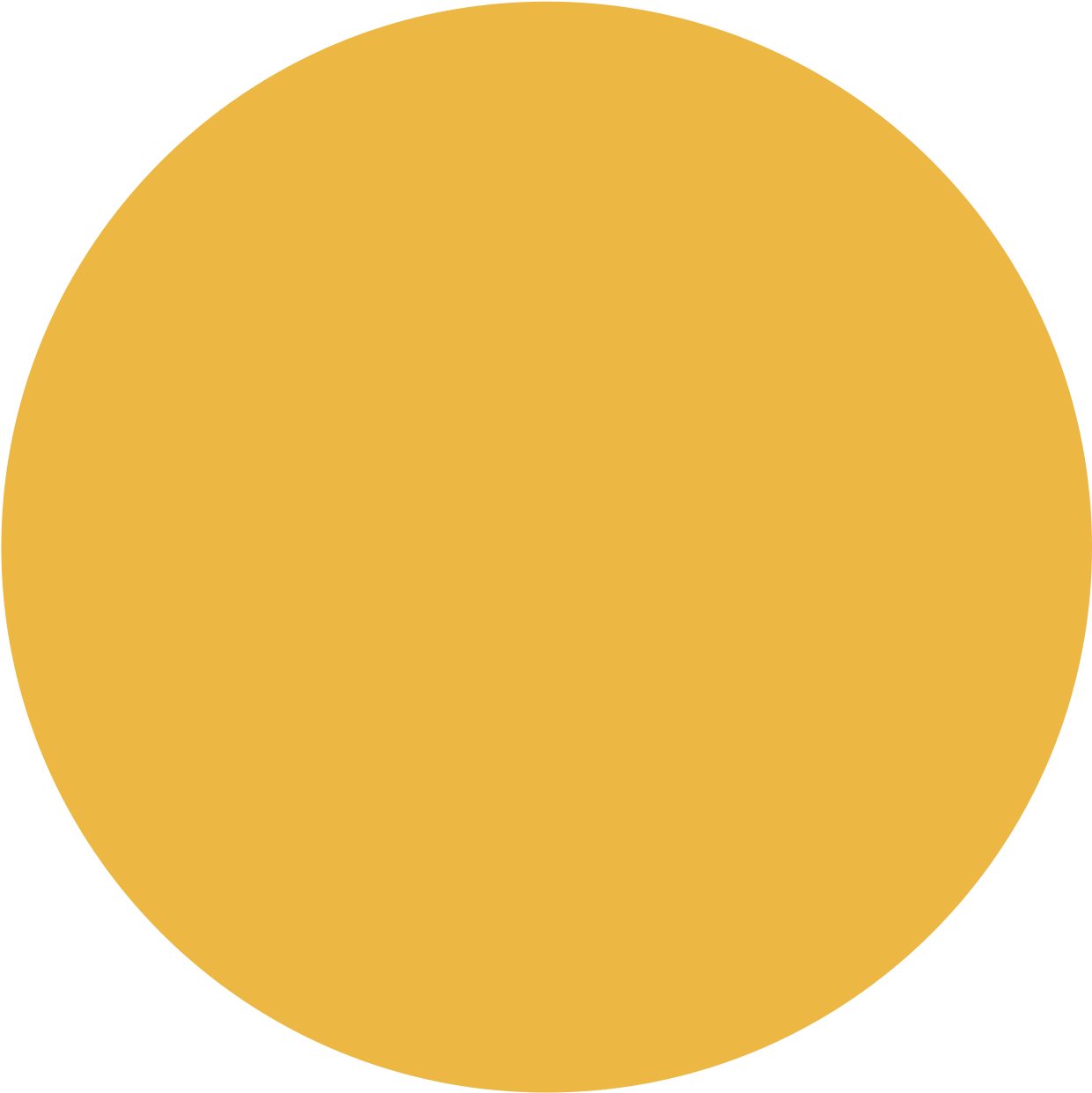 Желтый круг. Желтый кружок. Желтые кружочки. Кружок желтого цвета.