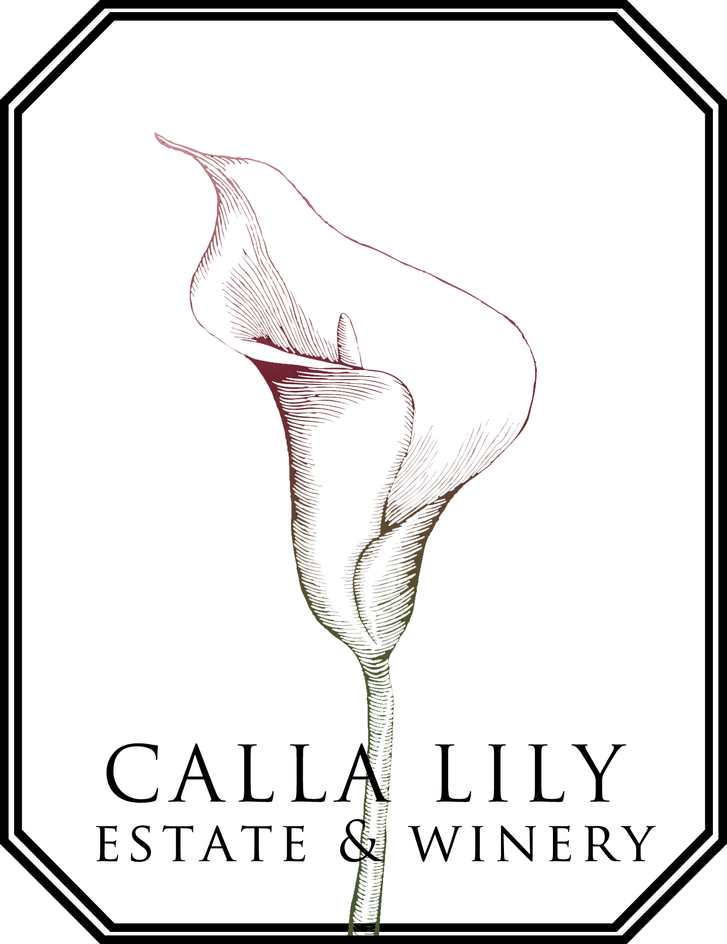 Logo - Pinot Noir (1441x1870), Png Download