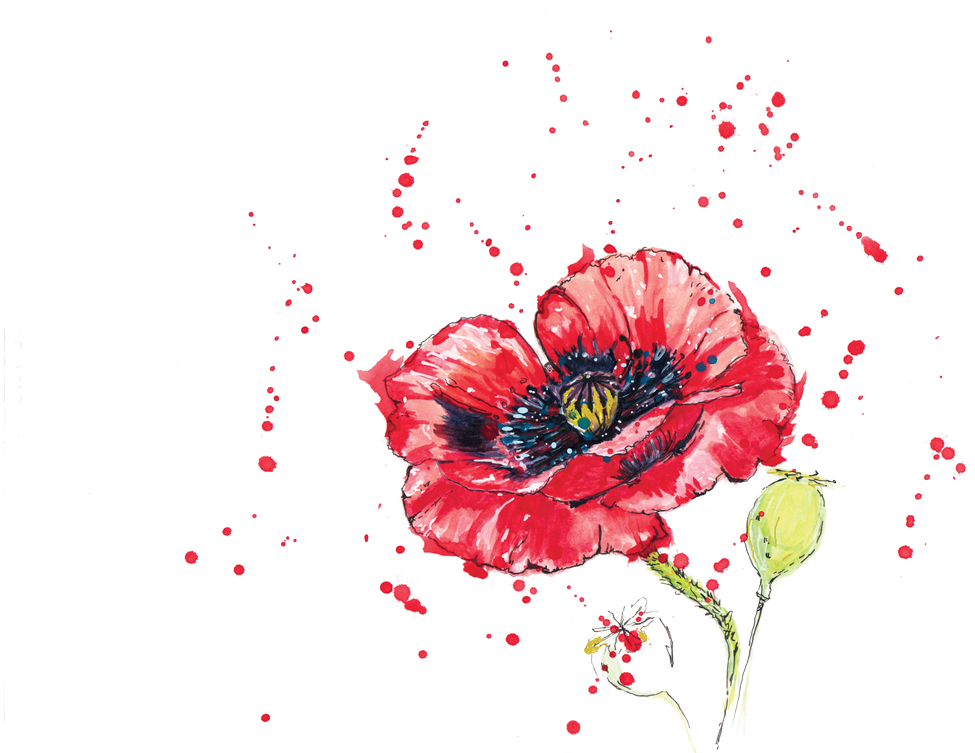 0 Replies 0 Retweets 0 Likes - Corn Poppy (1200x849), Png Download