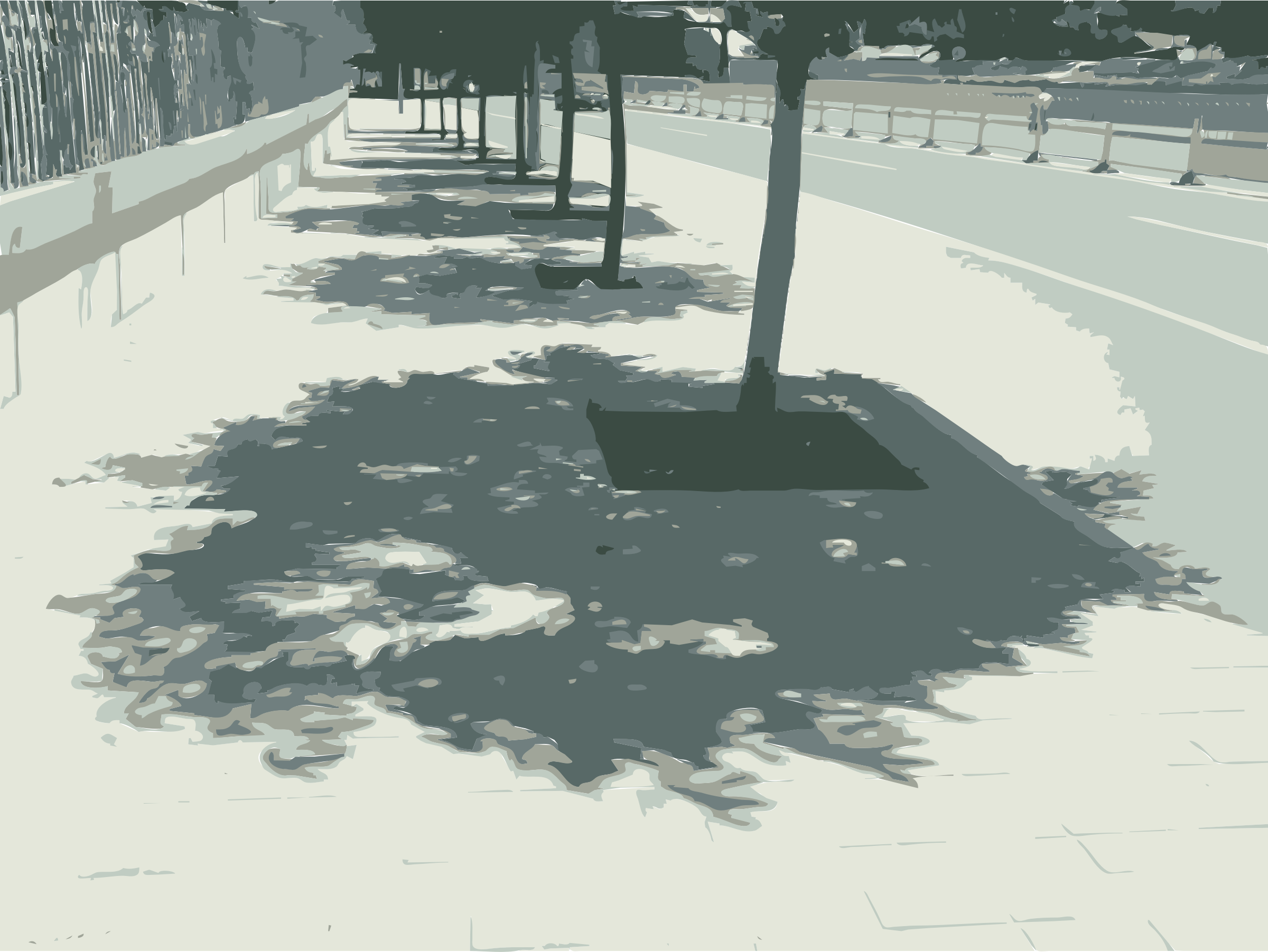 Tree Shadow Computer Icons Caochangdi Wood - Tree With Its Shadow Png (998x750), Png Download