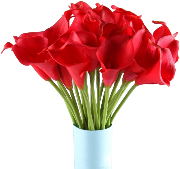 Cozyswan 20pcs Calla Lily Bridal Wedding Bouquet Head (600x600), Png Download