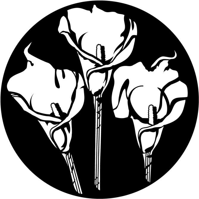 Calla Lily Trio - Apollo Calla Lily Trio Steel Gobo Ms-1185 (800x800), Png Download