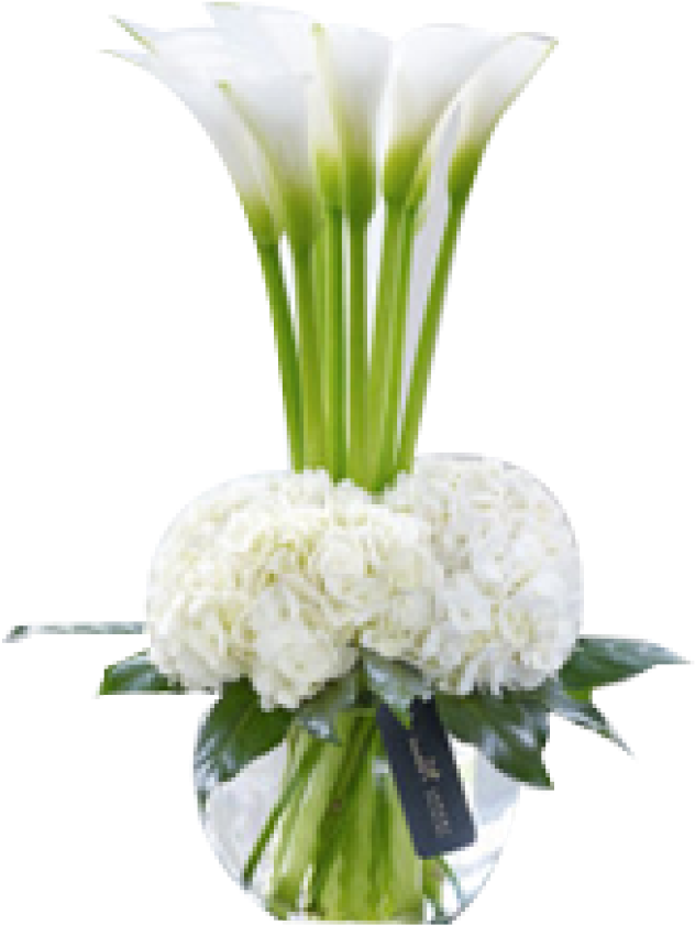 This Chic And Contemporary Hand-tied Bouquet Is Rich - Hydrangea In A Vase (736x1028), Png Download
