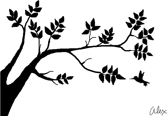 Tree Shadow - Drawing - Free Transparent PNG Download - PNGkey