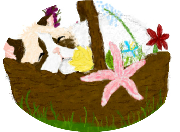 Callalily Art - Birthday Cake (713x573), Png Download