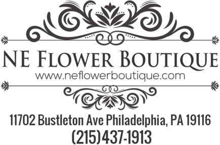 Carla Nunes (435x286), Png Download