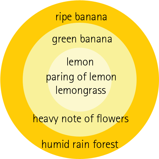 Golden Gate Fragrance Circle - Saint-malo (550x550), Png Download