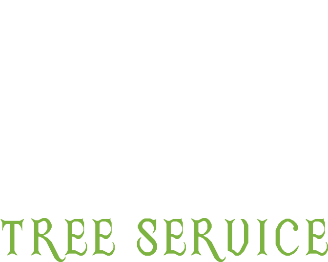 Backwoods Tree Service Logo - Backwoods Tree Service (757x539), Png Download