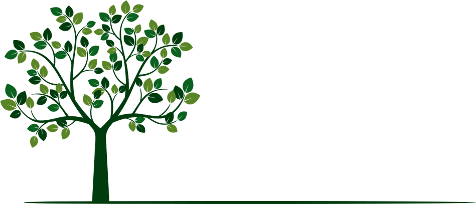 Tree Trimming & Removal From The Experts - Istock (949x407), Png Download