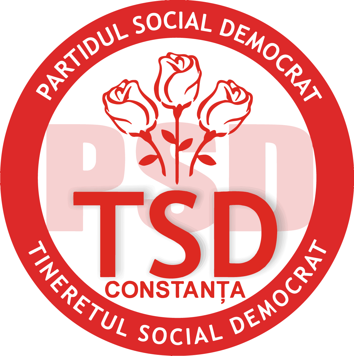 Logo - Saint Andrew's School Logo (1198x1204), Png Download