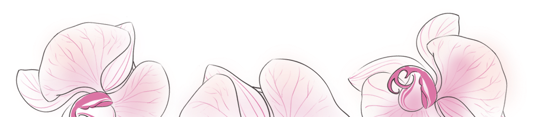 Butterfly (1920x1104), Png Download