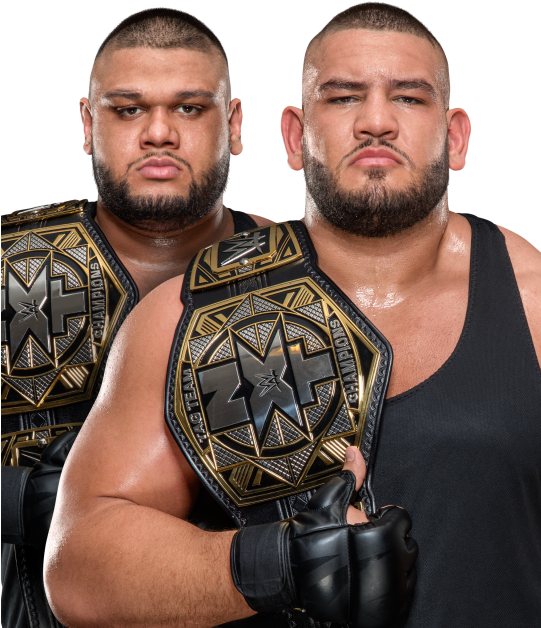 Image - Wwe Vs Nxt Dream Matches (540x640), Png Download
