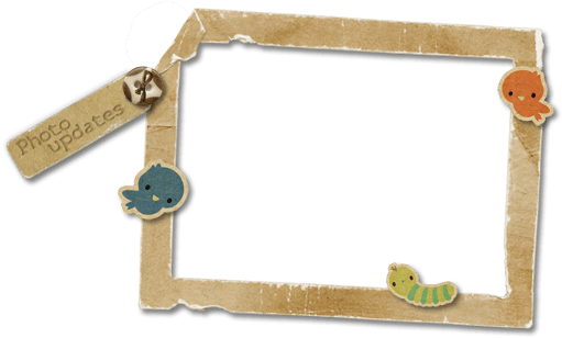 Cute Frame Png More Information - Picture Frame (517x312), Png Download