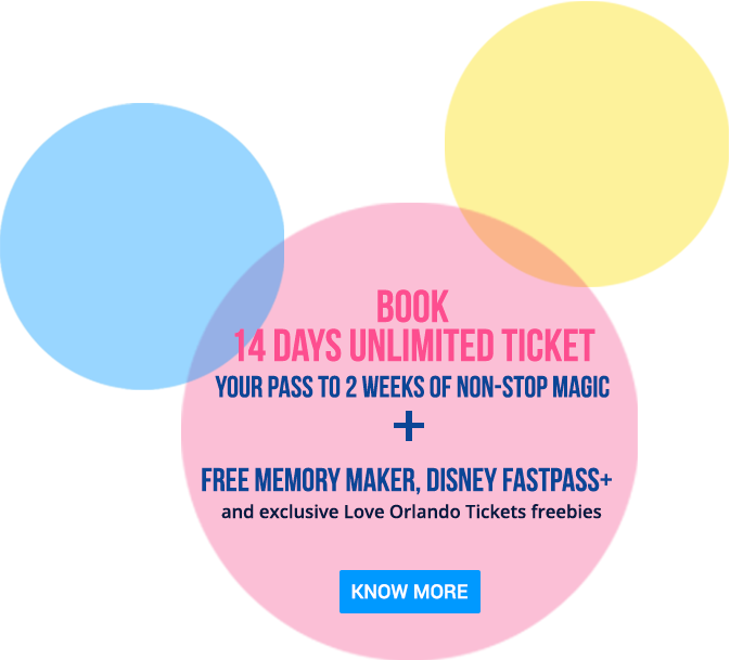 Disney Walt Disney World - Walt Disney World - Free Transparent PNG ...