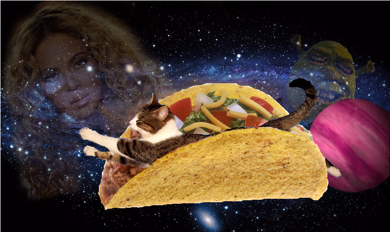Tacocat Rests Near The - Taco Mystery: The Bff Mystery Club (1006x467), Png Download