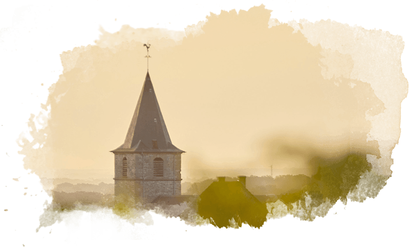 Still Life (799x482), Png Download