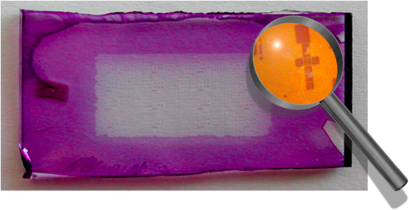 Patterning With Colour - Circle (600x300), Png Download