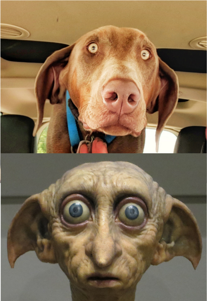 Dobiedobbyhmmmm - Meme (1024x1024), Png Download
