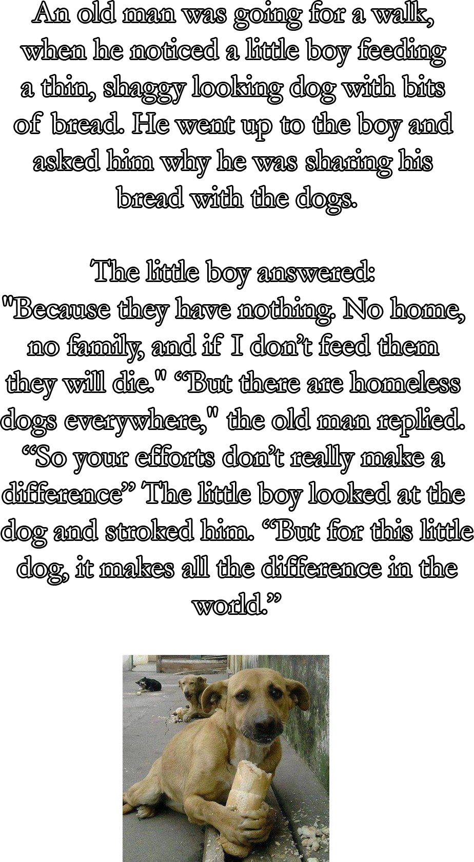 Fond It On Face Book - Small Greek Domestic Dog (924x1678), Png Download