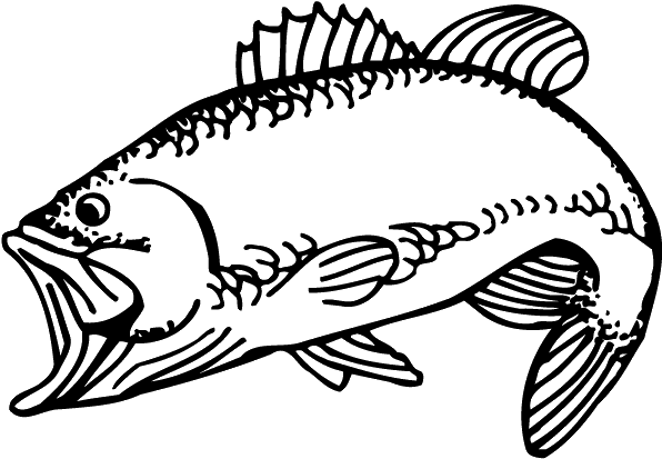 Coral Reef Fish (600x613), Png Download