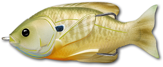 Live Target Sunfish Hollow Body [3" Natural/green Bluegill] - Livetarget Lures Sfh75t554 Sunfish Hollow Body 3" Natural/green (550x244), Png Download