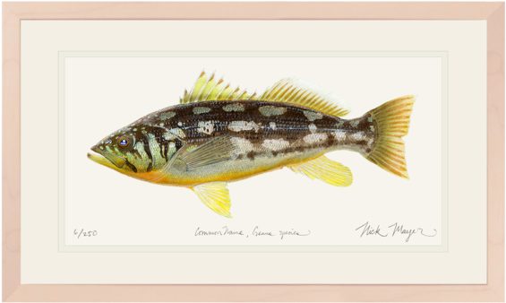 Drawing (600x389), Png Download