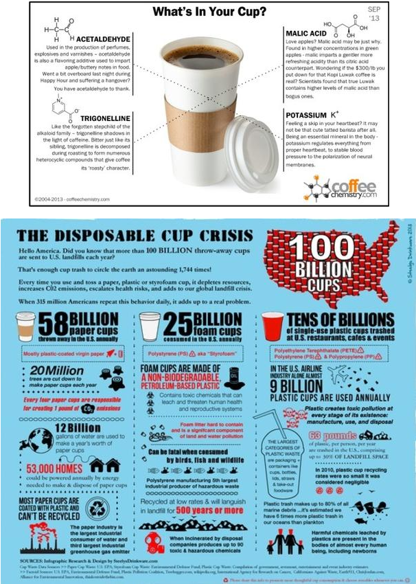 Coffee - Plastic Cups Decomposition Time (639x888), Png Download