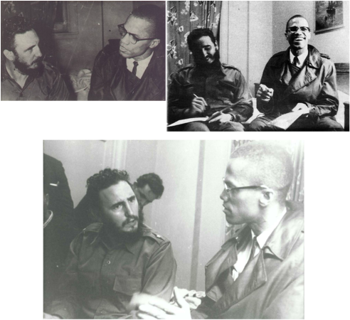 Black History - Malcolm X And Fidel Castro (500x452), Png Download