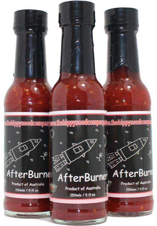 Glass Bottle (600x827), Png Download