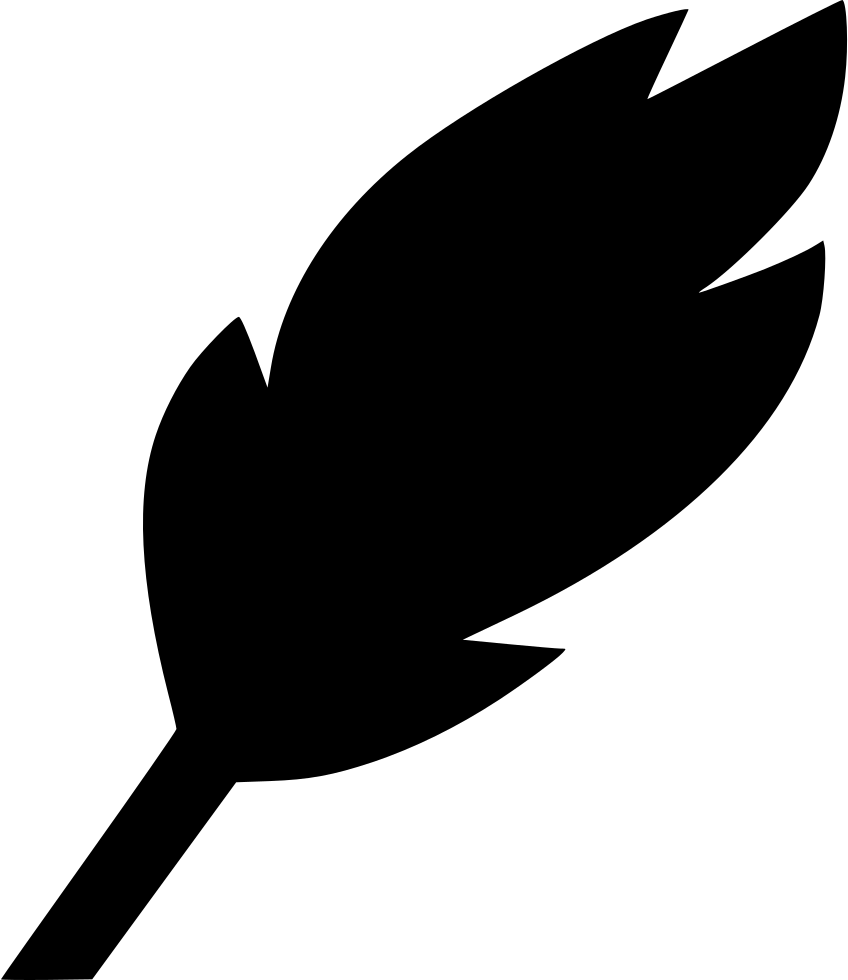 Feather Write Edit Draw Instrument Comments - Clip Art (848x980), Png Download