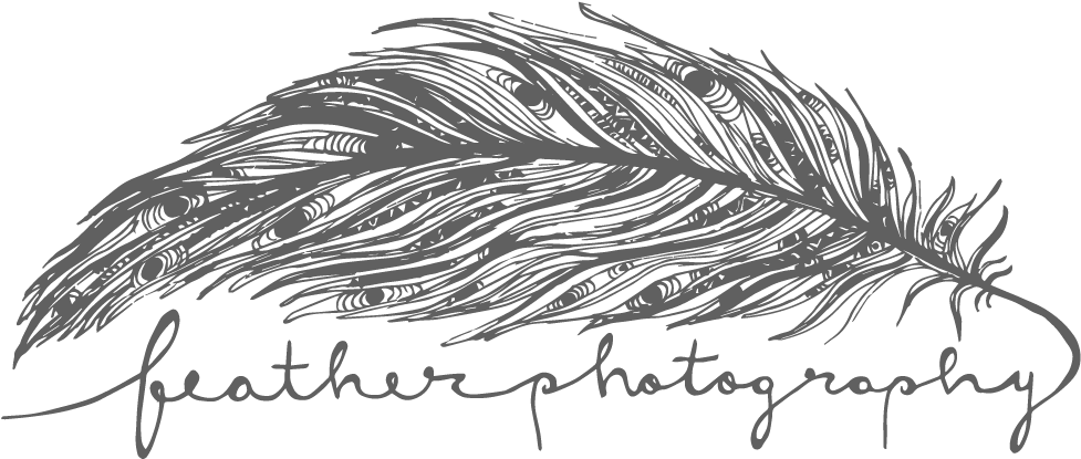 Feather Photography (1000x437), Png Download