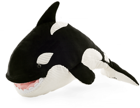 Ory The Orca Scentsy Buddy (498x498), Png Download