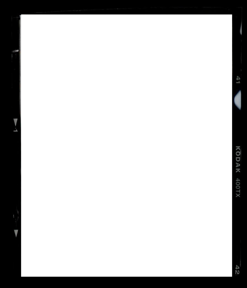 Put On My Glasses Now I Feel Better - Rectangle Cut Out Png (1024x1197), Png Download