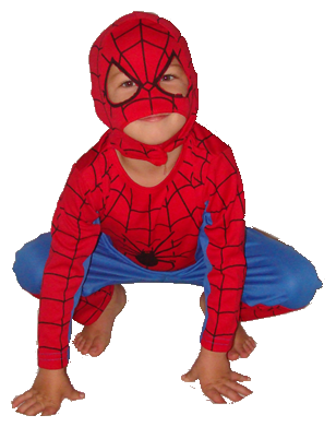 Spiderman Costume Png - Spiderman Transparent Dress Up (308x391), Png Download