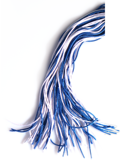 Graduation Tassle Png - Blue Graduation Tassel Png (400x542), Png Download
