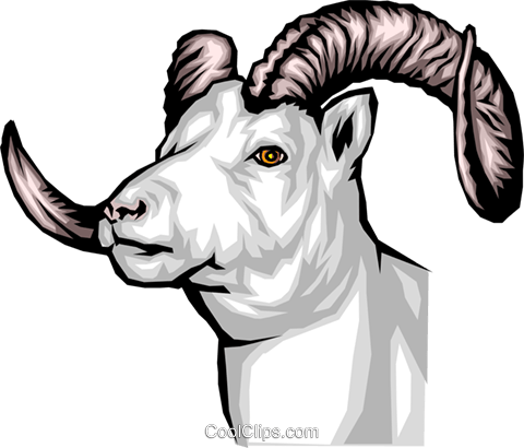 Mountain Goat Royalty Free Vector Clip Art Illustration - Clip Art (480x410), Png Download