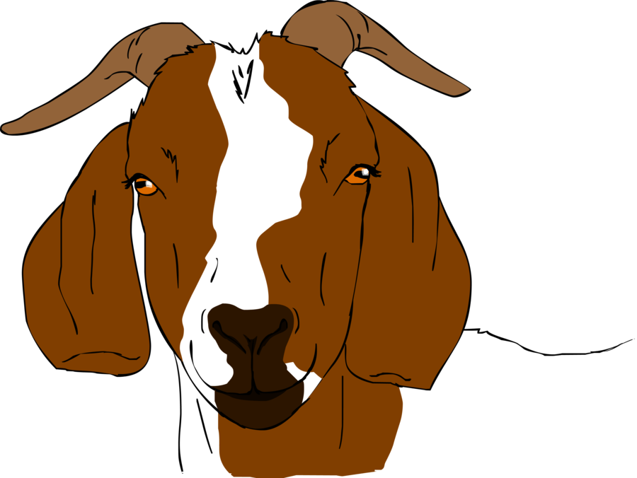 Picture Royalty Free Collection Of High Quality Free - Boer Goats Clip Art (900x676), Png Download