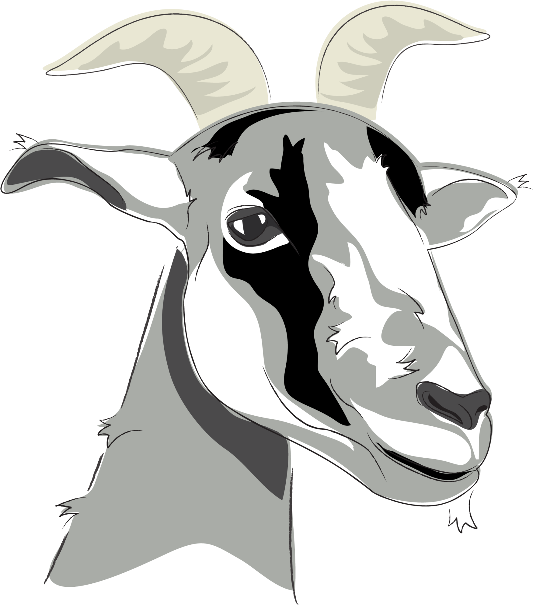 Other - Illustration (2048x2048), Png Download