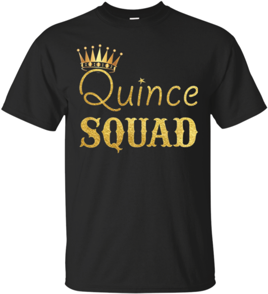Quinceanera T Shirt Hoodie Sweater Quince Birthday - Have Neither The Time Nor The Crayons To Explain This (600x600), Png Download
