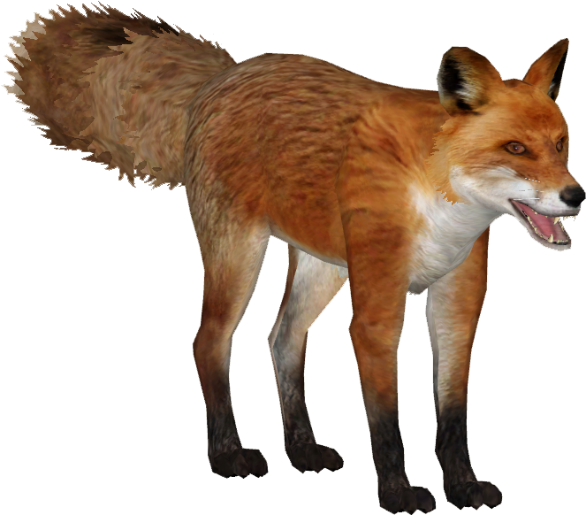 Japanese Fox - Zoo Tycoon 2 Fox (662x662), Png Download