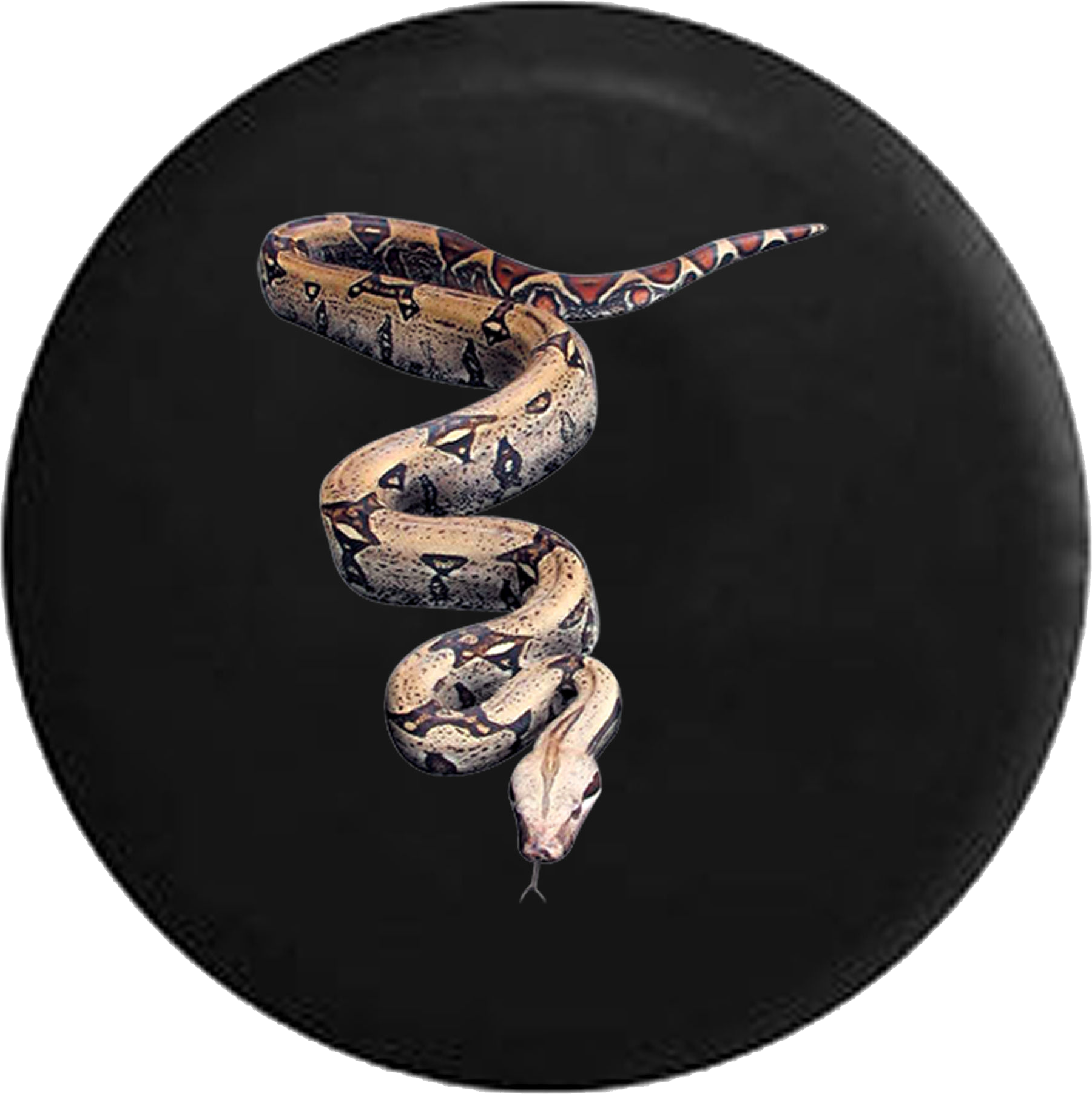 Boa Constrictor Slithering Snake Forked Tongue Jeep - Snakes (1800x1804), Png Download