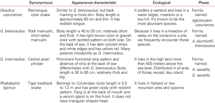Characteristics Of Snakes Of South Korea - Characteristics Of Snakes (850x410), Png Download