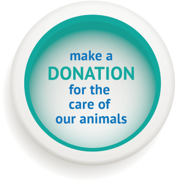 General-donation - Isola Di San Michele (400x400), Png Download